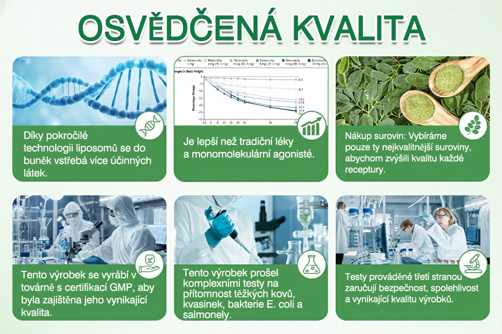 🇨🇿 Oficiální obchod👑 | 👨‍⚕️GFOUK® Moringa · Berberine × NAD+ 10v1 Pokročilá nano mikronáplast
